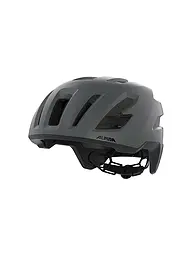 ALPINA | Casco da bici Taunus Gravel MIPS | Grigio