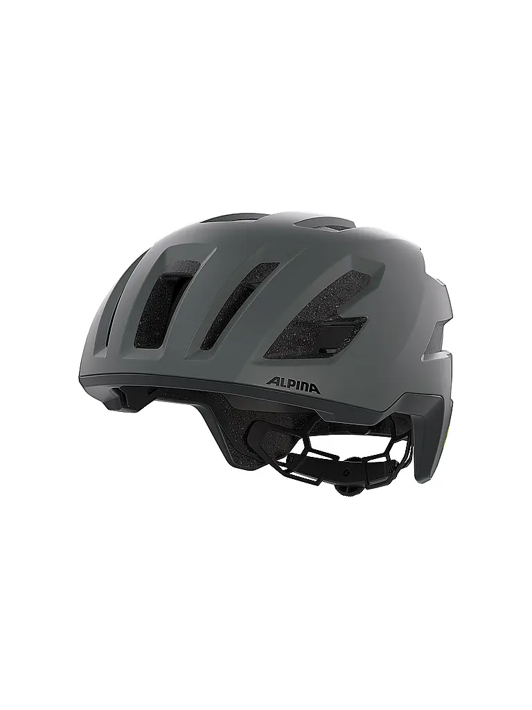 ALPINA | Casco da bici Taunus Gravel MIPS | Grigio