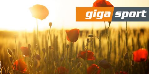 Sonnenbeschienenes Mohnfeld mit sanft wiegenden roten Blüten. Das warme Licht des Sonnenaufgangs erhellt die Szene. In der oberen rechten Ecke steht in orange-grauem Text „Giga Sport“.