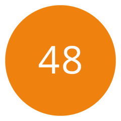Un cerchio arancione con il numero 48 in bianco al centro.