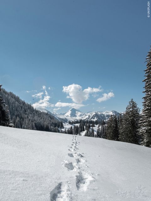 Paesaggio innevato con una catena montuosa sotto un cielo azzurro brillante. Orme serpeggiano nella neve, fiancheggiate da alberi sempreverdi. Soffici nuvole fluttuano in lontananza sopra le montagne, aggiungendo profondità alla scena tranquilla.