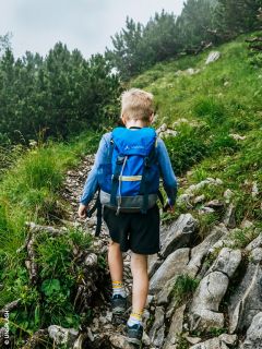 Un ragazzo con uno zaino blu cammina su un sentiero di montagna roccioso e verde, circondato da erba e alberi.