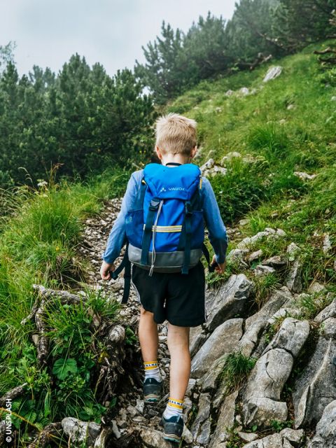 Un ragazzo con uno zaino blu cammina su un sentiero di montagna roccioso e verde, circondato da erba e alberi.