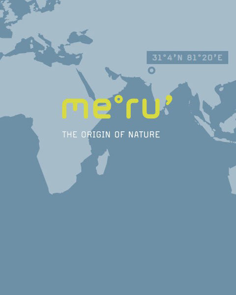 Mappa minimalista che mostra una parte dell'Asia e dell'Africa, con il testo „me°ru' The Origin of Nature“ e le coordinate 31°4'N 81°20'E nell'Oceano Indiano.