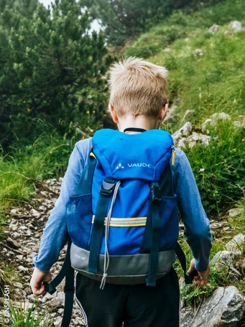 Un bambino con uno zaino blu cammina su un sentiero di montagna roccioso ed erboso, circondato da arbusti e alberi verdi.