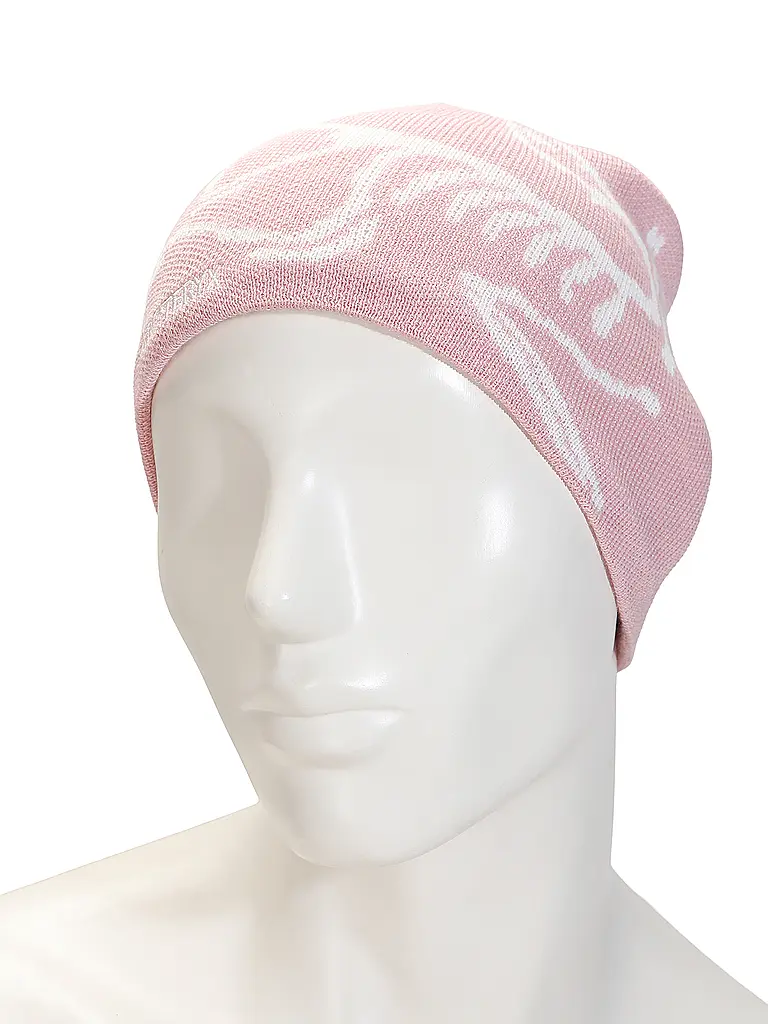 ARCTERYX | Berretto Bird Toque | Rosa