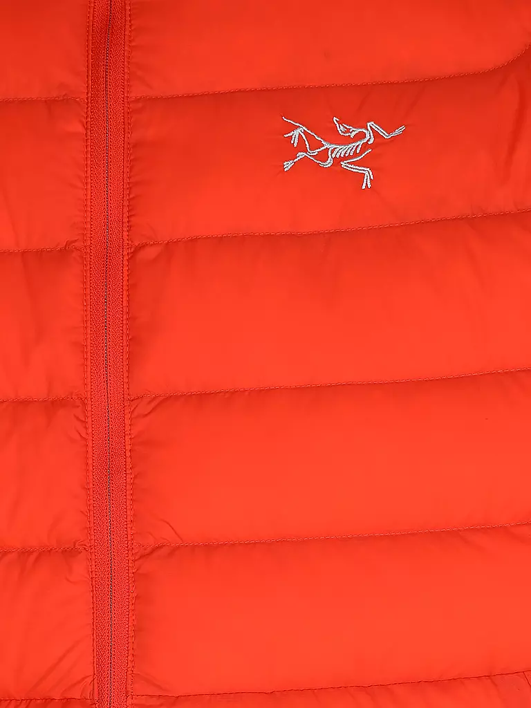 ARCTERYX | Isogiacca da uomo con cappuccio Cerium |