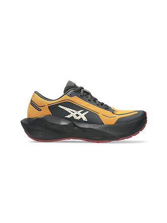ASICS | Scarpe da Corsa da Uomo Novablast 6 GTX