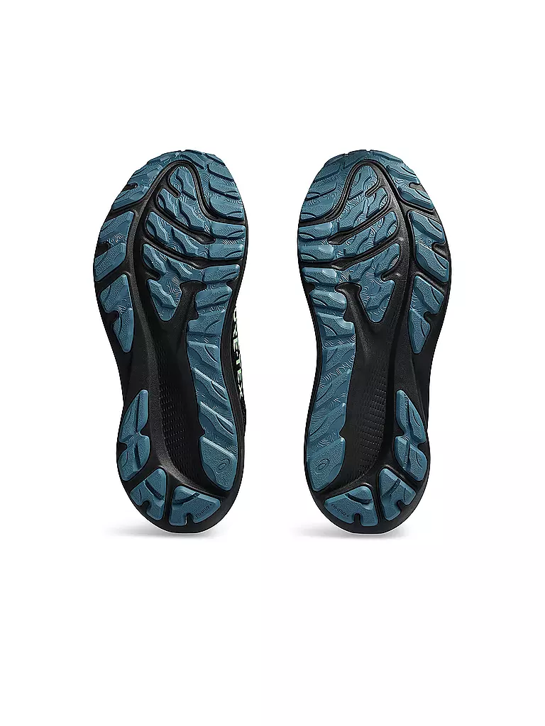 ASICS | Herren Laufschuhe GT-2000 12 GTX | Nero