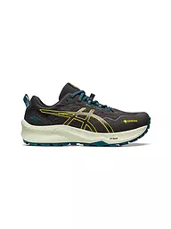 ASICS | Herren Traillaufschuhe Gel-Trabuco 11 GTX | Nero