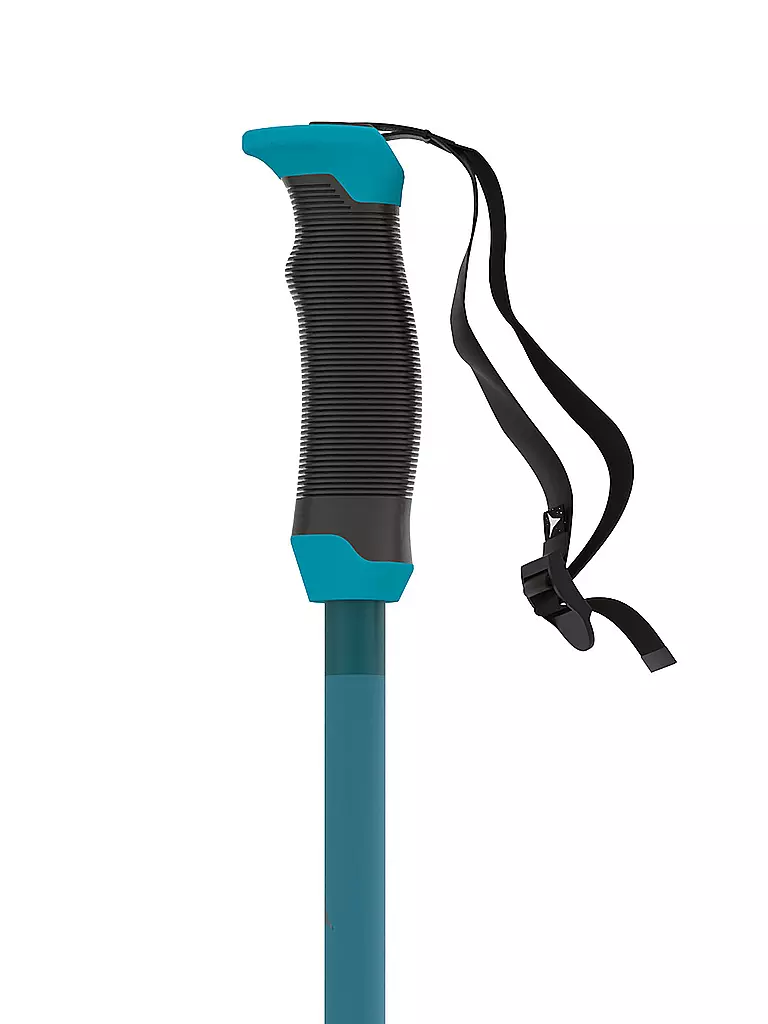 ATOMIC | Bastoncini da sci Redster X SQS | 