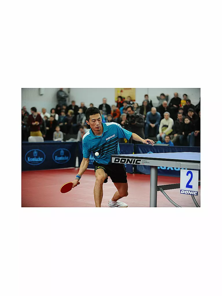 DONIC SCHILDKRÖT | Racchetta da ping pong Top Team 800 | Grigio