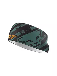 DYNAFIT | Stirnband Graphic Performance | Petrolio