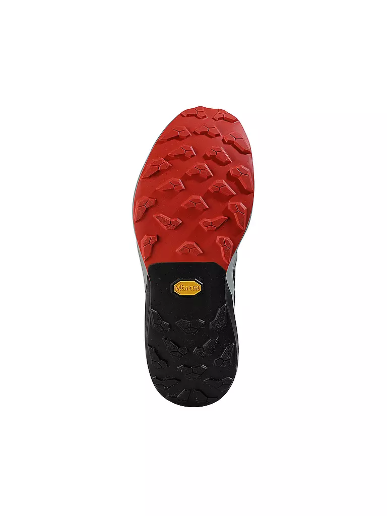 DYNAFIT | Scarpe da trail running da uomo Alpine Pro2 |