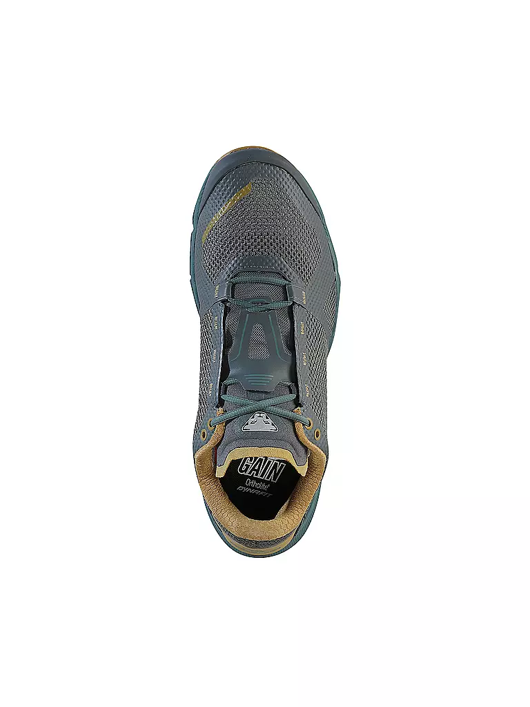 DYNAFIT | Scarpe da trail running da uomo Ultra 100 GTX | 