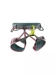 EDELRID | Imbracatura da arrampicata da donna Jayne III | Rosa