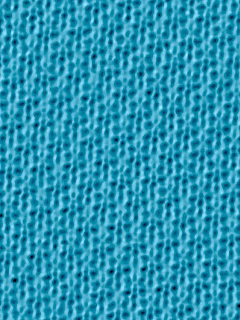 FALKE | Calzini da running da uomo RU 5 corti Lightweight |