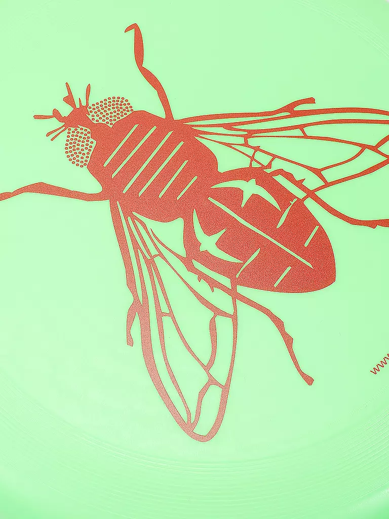 FLY IN DANGER | Frisbee Sport Disc Fly | Verde