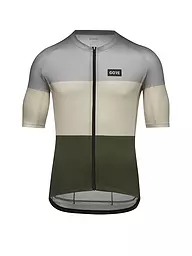 GOREWEAR | Herren Radtrikot Spirit Stripes | Grigio chiaro