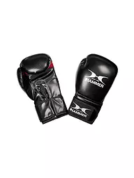 HAMMER | Guantoni da boxe X-SHOCK | Nero