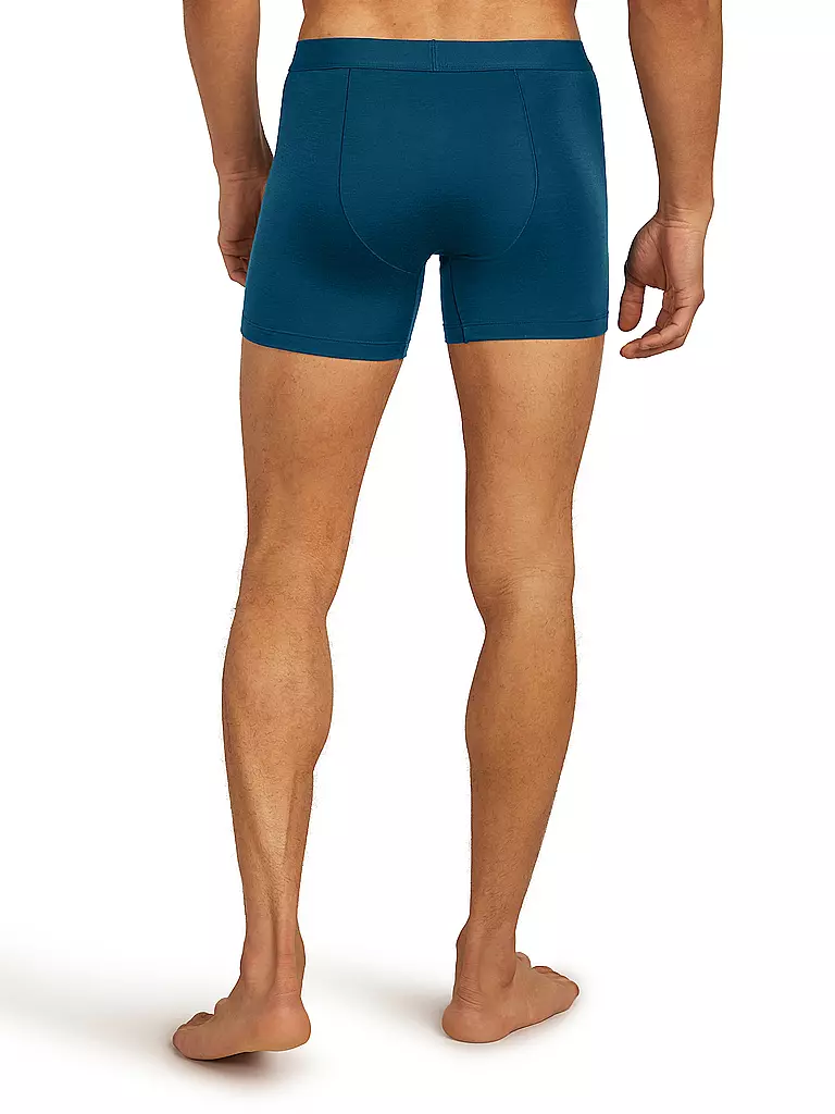 ICEBREAKER | Boxer da uomo Anatomica 125 Cool |