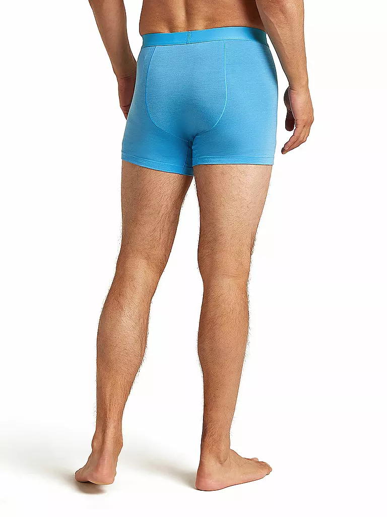 ICEBREAKER | Herren Boxershort Anatomica 125 Cool |
