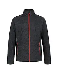 ICEPEAK | Giacca in pile da uomo Bode | Grigio