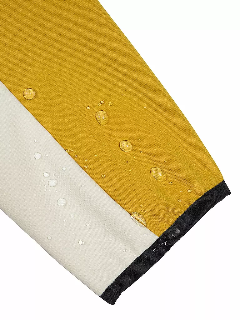 ICEPEAK | Giacca softshell da donna Braden con cappuccio | 