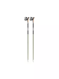 LEKI | Bastoncini da Nordic Walking Flash Carbon | Nero