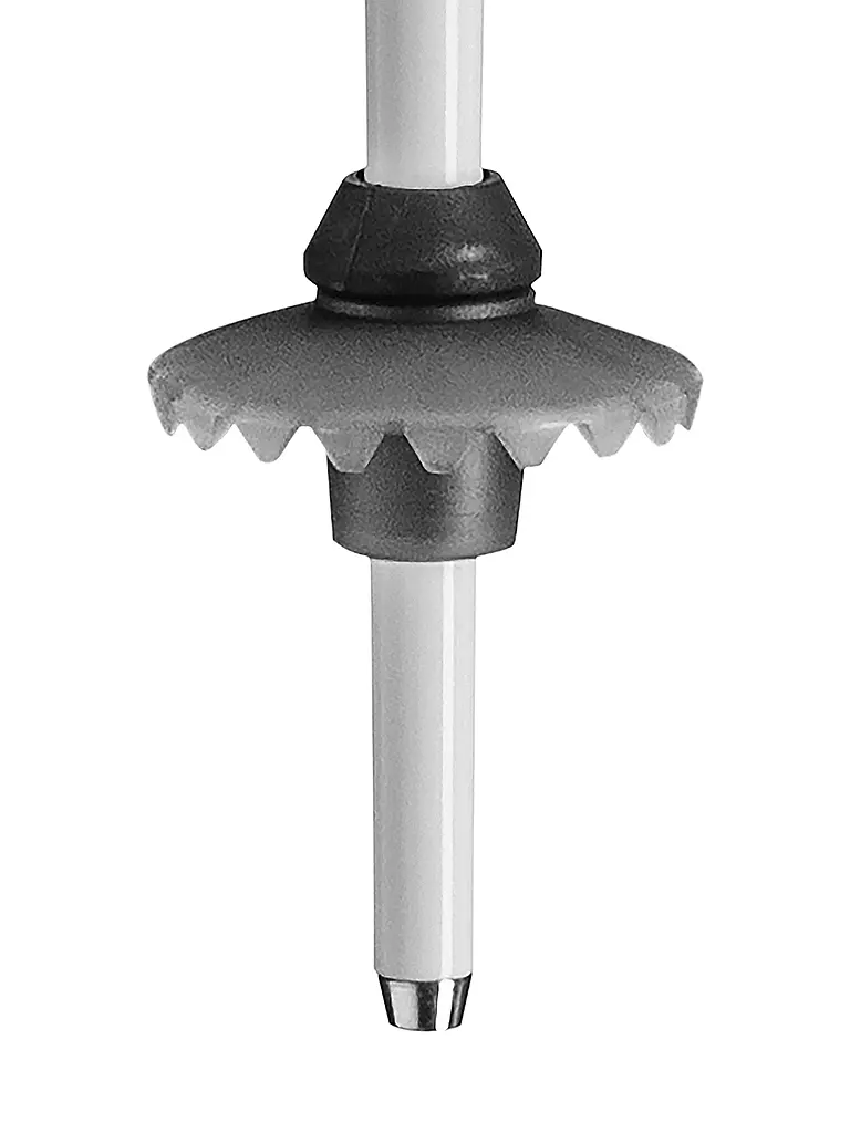 LEKI | Damen Skistöcke Stella S | Nero