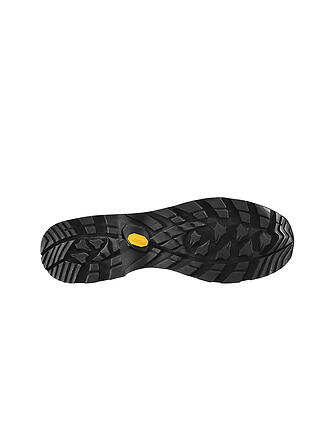 LOWA | Scarponi da montagna da uomo Camino Evo GTX
