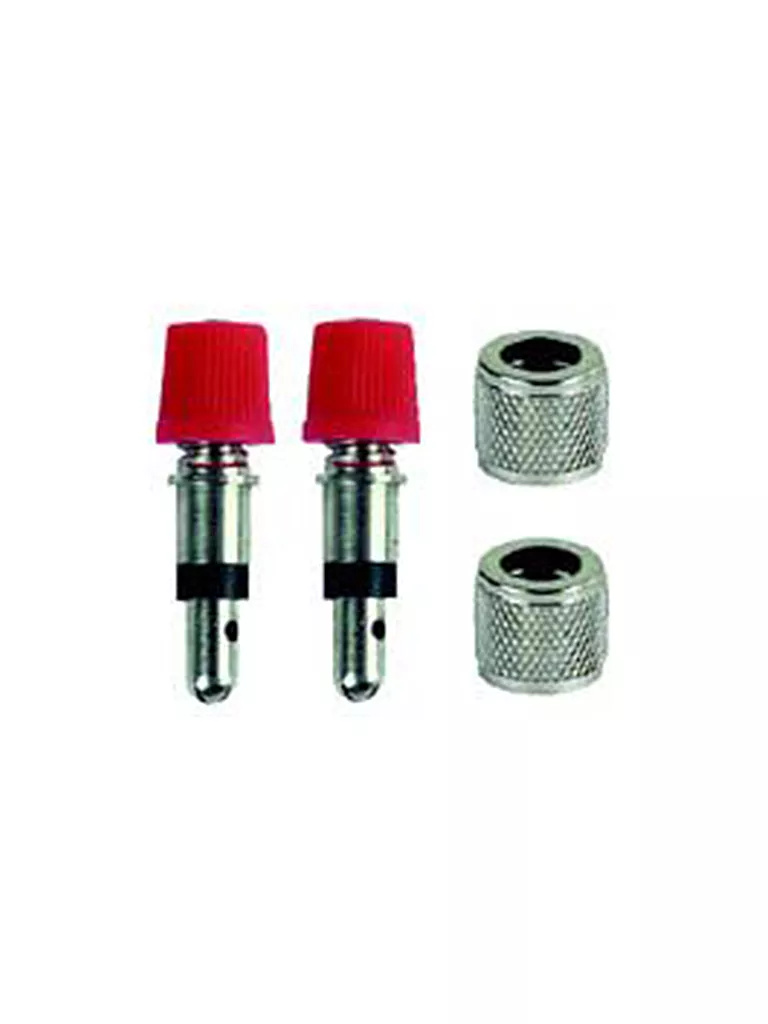 M-PROLINE | Valvola flash + dado 2 pz. | Argento