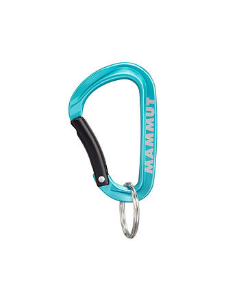 MAMMUT | Mammut Mini Moschettone Classic Keylock S