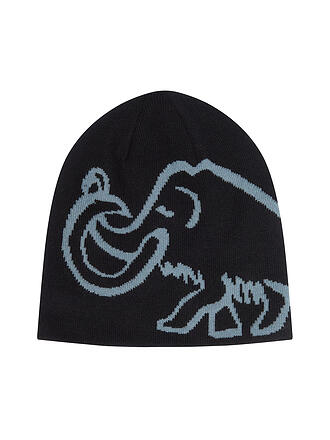 MAMMUT | Mütze Mammut Logo Reversible