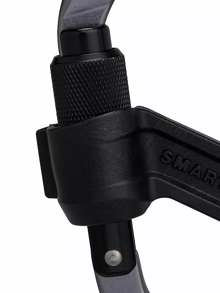 MAMMUT | Moschettone Smart HMS 2.0 Screwgate | Argento