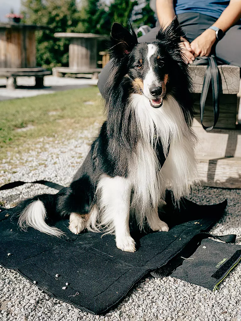 MAMO PET SPORTS | Active Dog Base | Nero