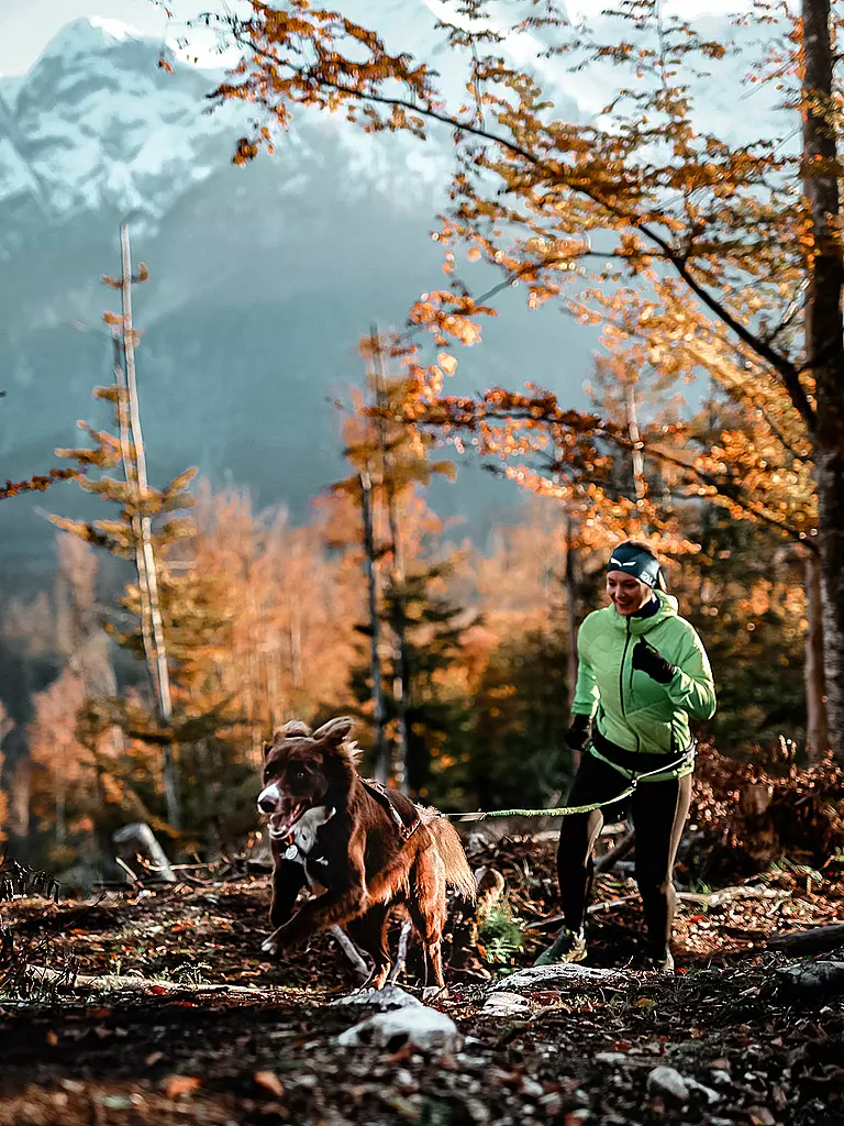 MAMO PET SPORTS | Sistema di cintura Infinity a 360° Mamo |