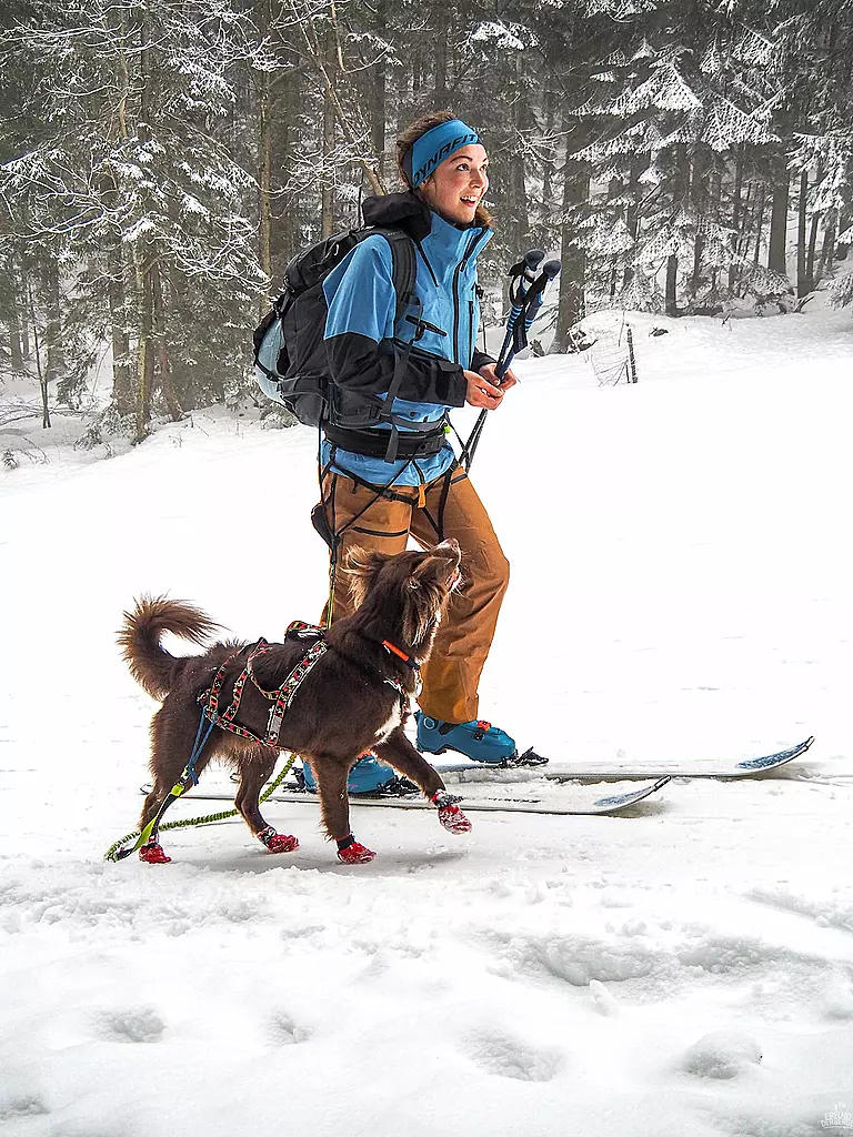 MAMO PET SPORTS | Sistema di cintura Infinity a 360° Mamo |