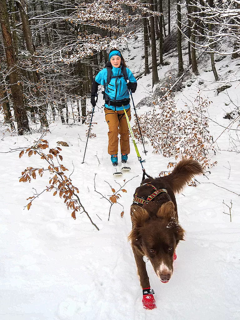 MAMO PET SPORTS | Sistema di cintura Infinity a 360° Mamo |