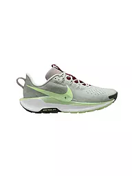 NIKE | Scarpe da trail running da uomo Pegasus Trail 5 | Beige