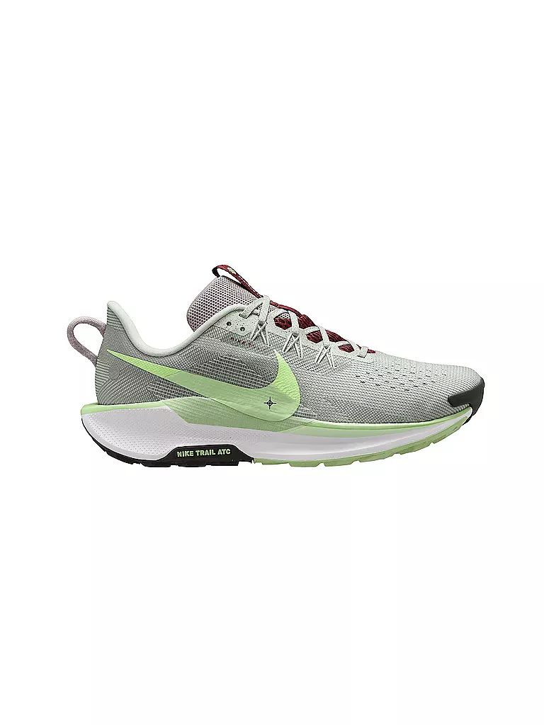 NIKE | Scarpe da trail running da uomo Pegasus Trail 5 | Beige