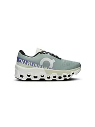 ON | Damen Laufschuhe Cloudmonster 2 | Grigio