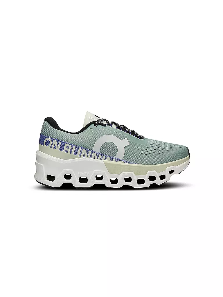 ON | Damen Laufschuhe Cloudmonster 2 | Grigio
