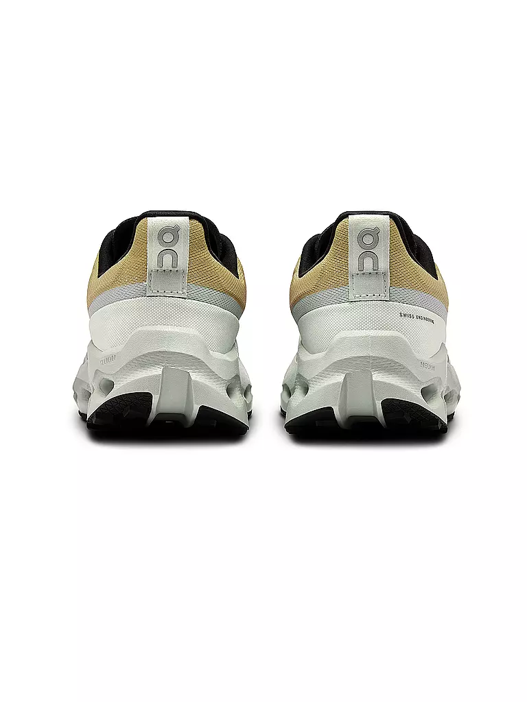 ON | Damen Traillaufschuhe Cloudsurfer Trail WP | Marrone