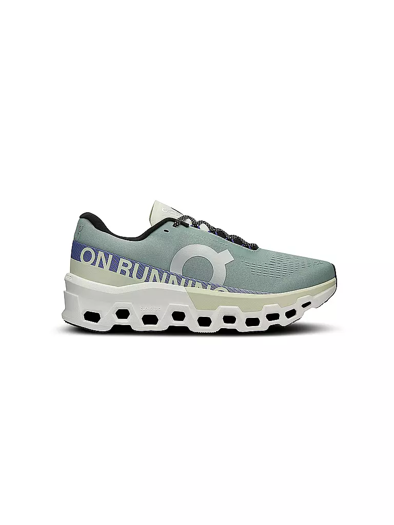 ON | Herren Laufschuhe Cloudmonster 2 | Grigio