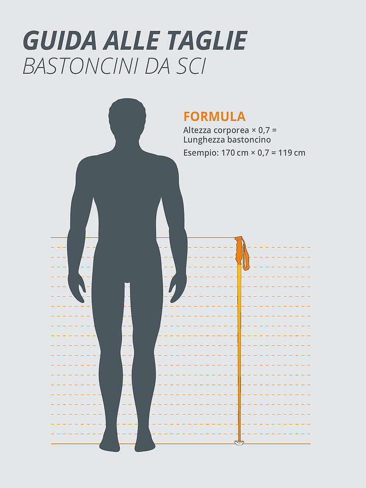 VAN DEER RED BULL SPORTS | Skistöcke Race Carbon | 