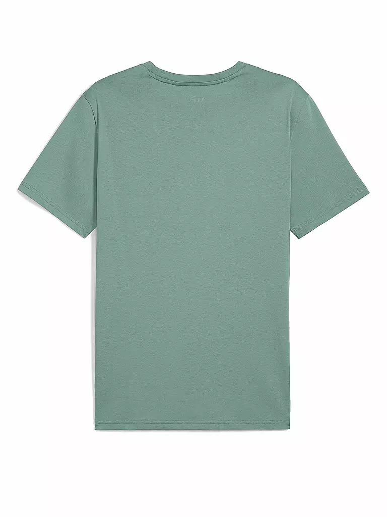 PUMA | Fitnessshirt da uomo Move Triblend | Verde chiaro