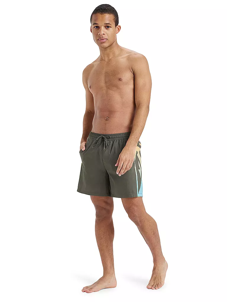QUIKSILVER | Herren Beachshort Everyday Holmes 16" | Grigio