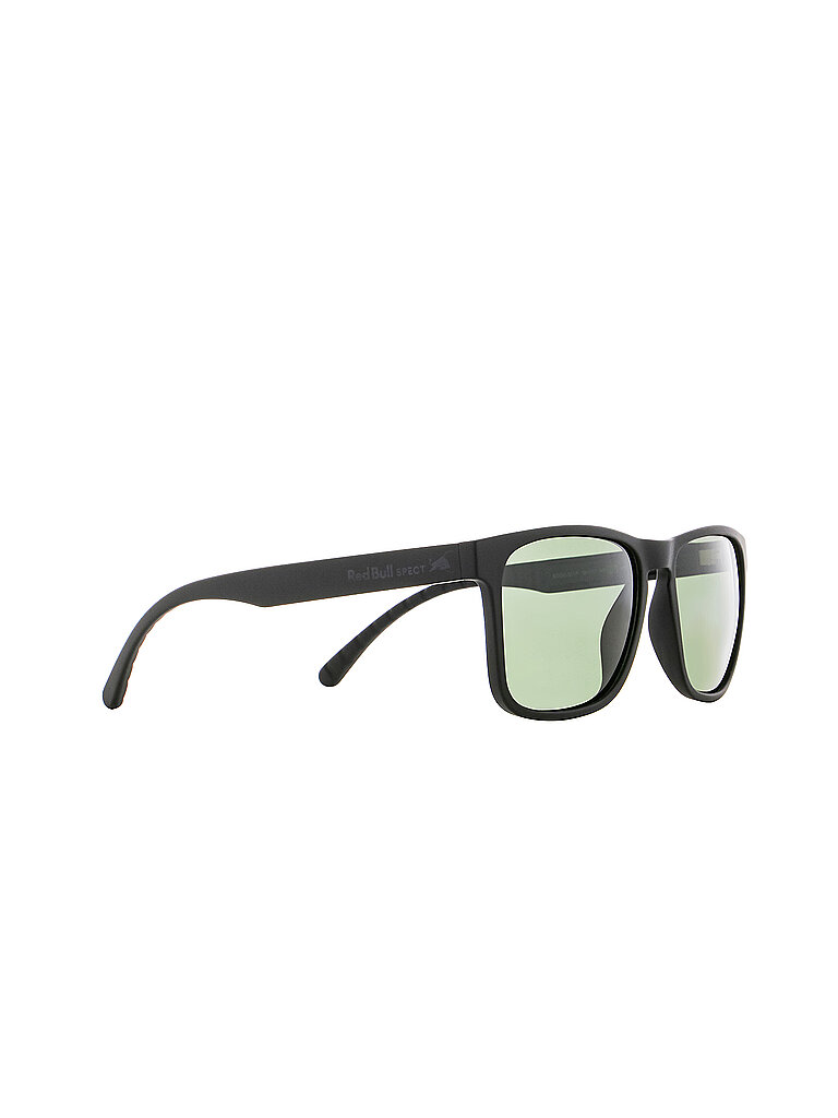 Occhiali da sole da uomo Eden F3 nero
