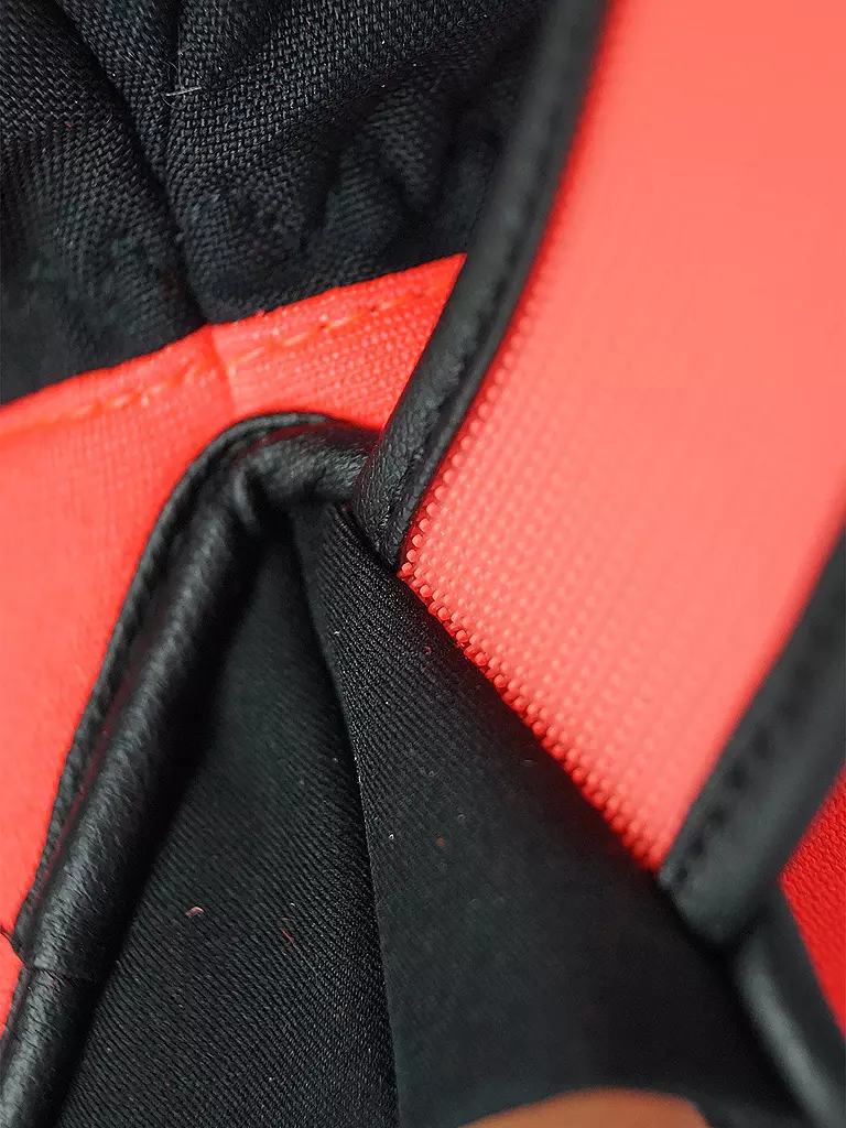 REUSCH | Guanti da sci per bambini Worldcup Warrior R-Tex |